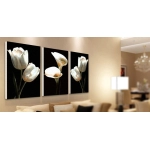 Canvas art prints for interior decoration